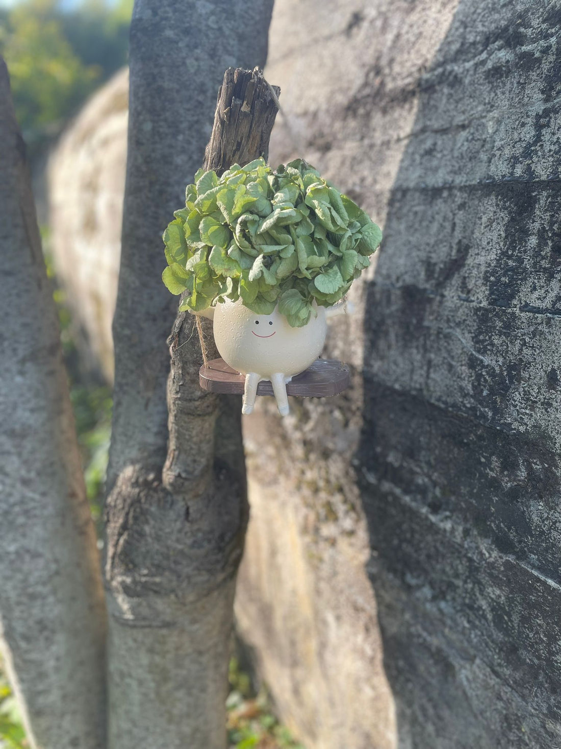 Swinging Face Planter Pot - Cute Hanging Plant Holder