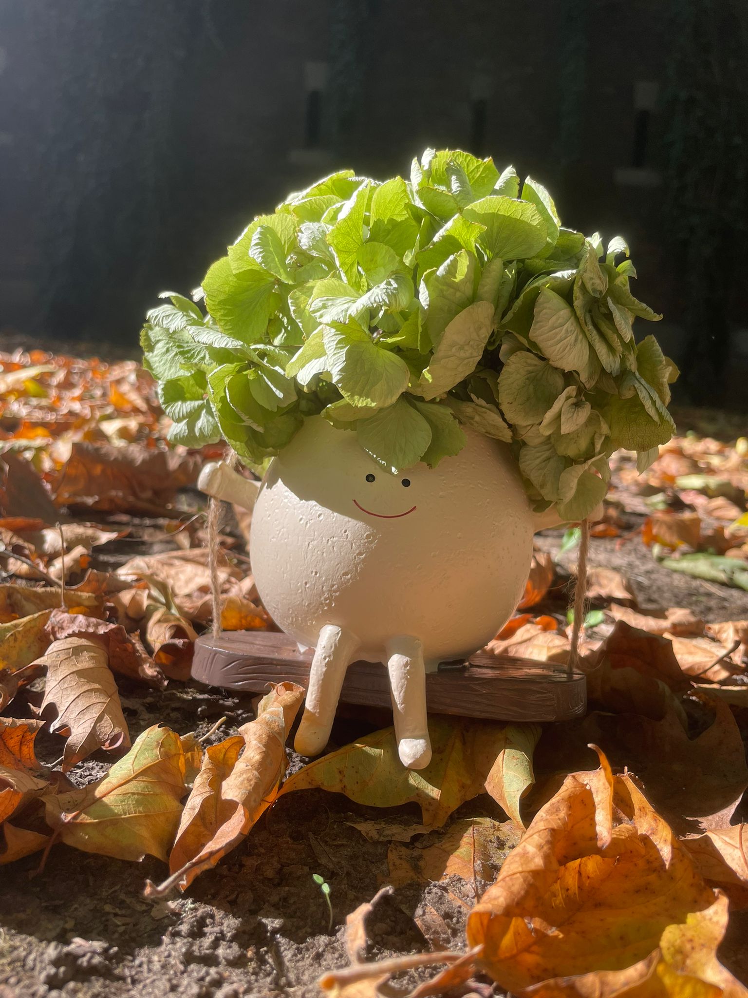 Swinging Face Planter Pot - Cute Hanging Plant Holder